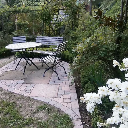 Vier Jahreszeiten Idyll Апартаменты Schuttertal